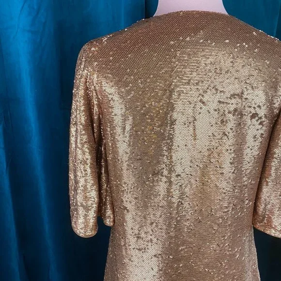 The Jetset Diaries Rising Sun Sequin Dress - Picture 10 of 10